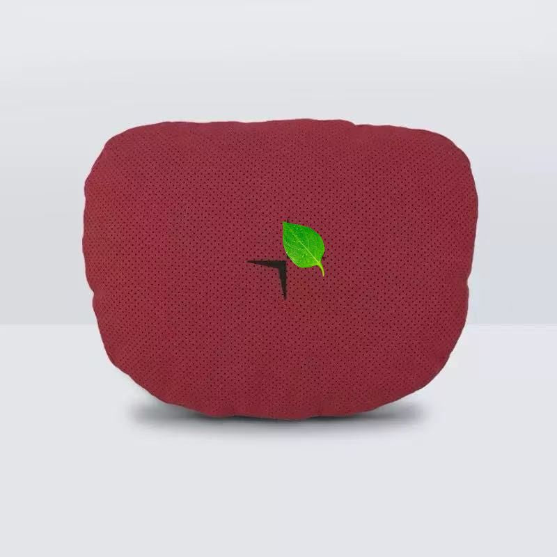 Neck And Lumbar Pillows for Polestar