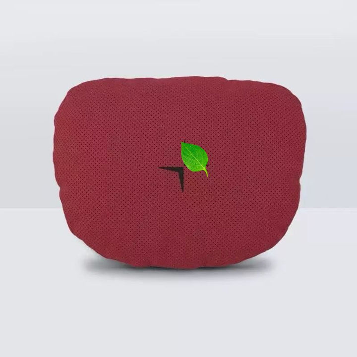 Neck And Lumbar Pillows for Polestar