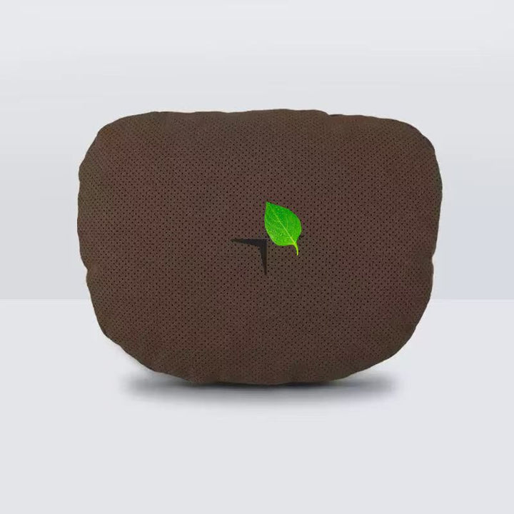 Neck And Lumbar Pillows for Polestar