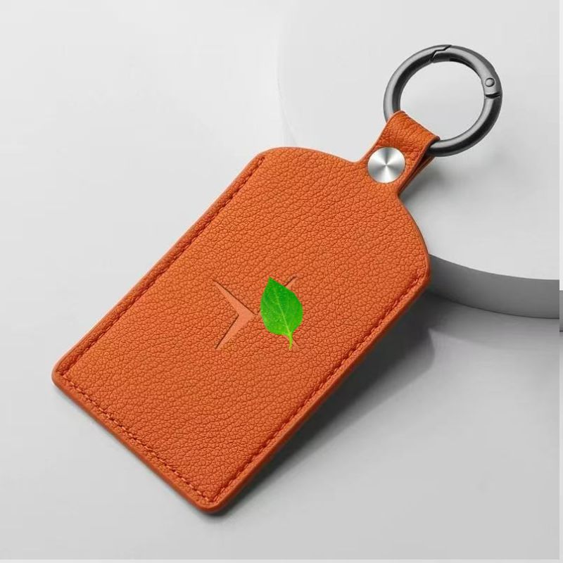 Card Key Holder for Polestar