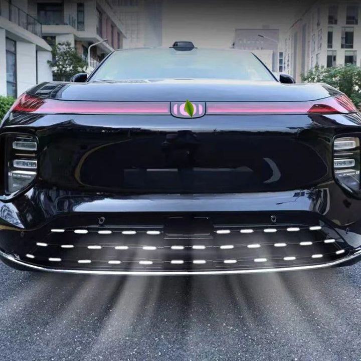 Grille Proof Net for Nevo Q07