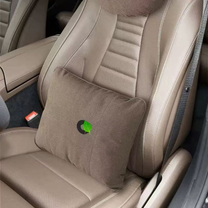 Neck And Lumbar Pillows for Smart