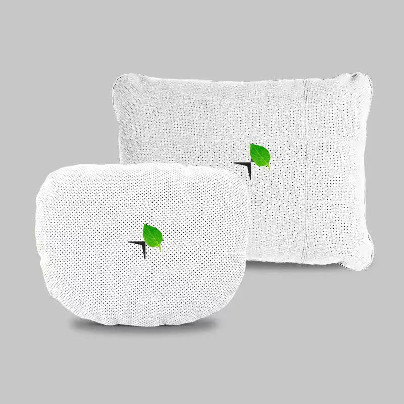 Neck And Lumbar Pillows for Polestar