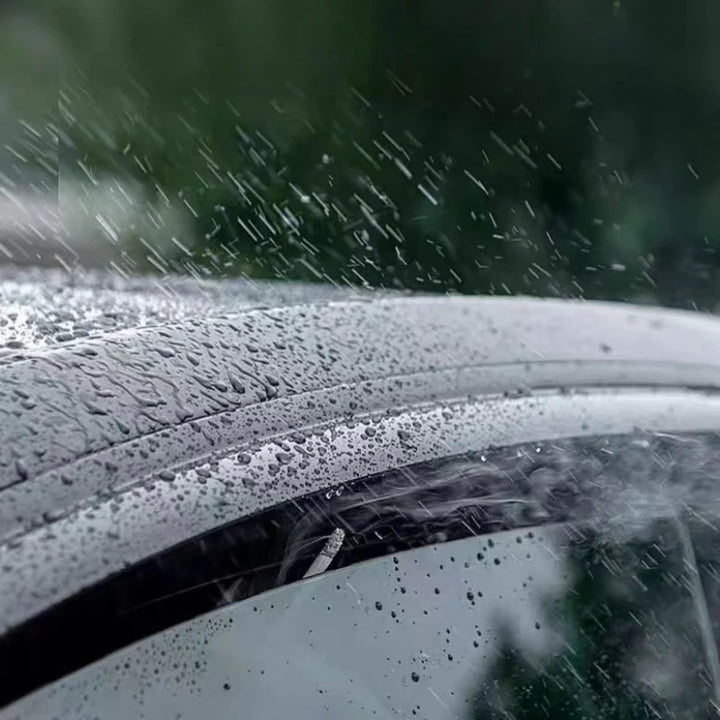 Window Rain Curtains for Deepal L07