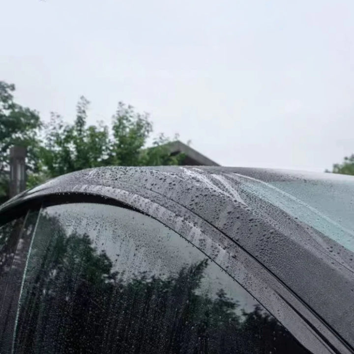 Window Rain Curtains for Deepal L07