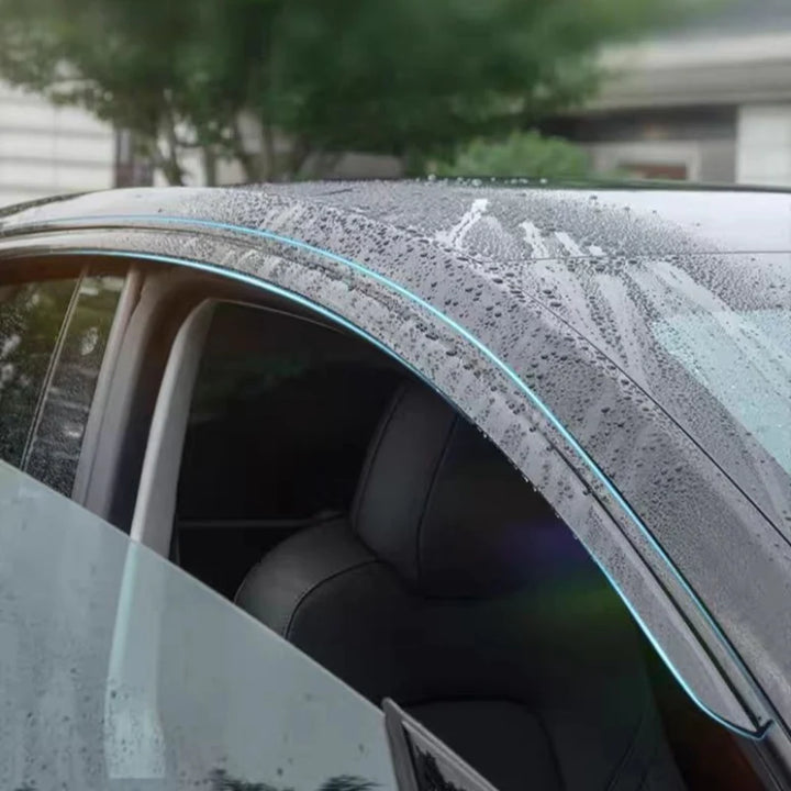Window Rain Curtains for Polestar 2