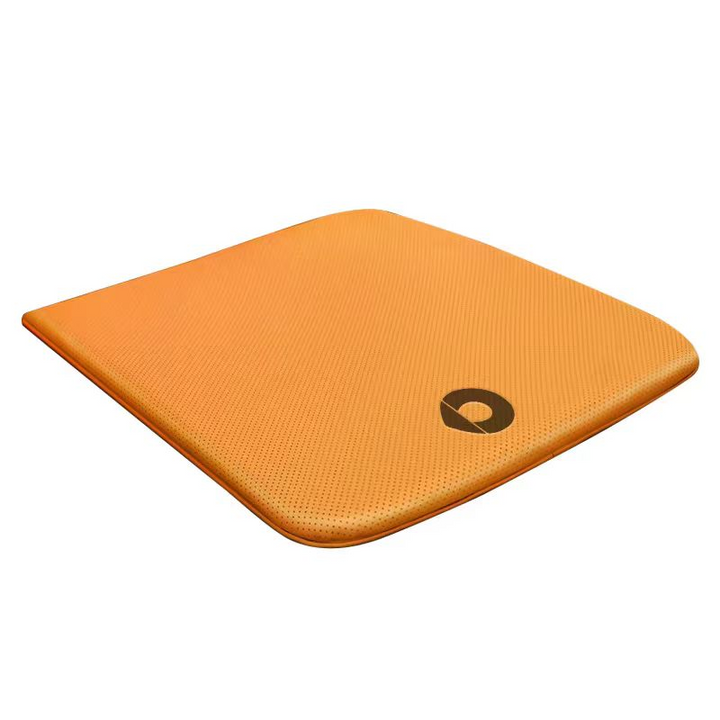 Napa Leather Seat Cushion for Smart