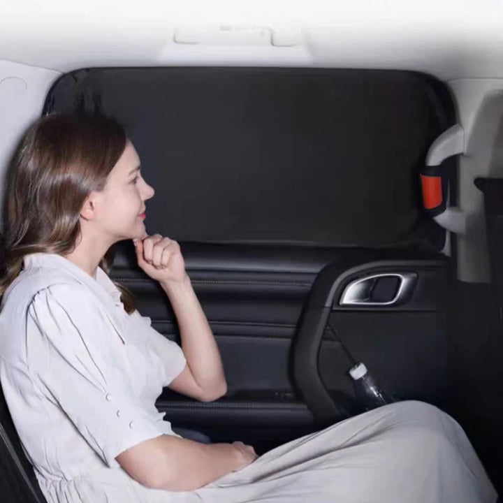 Sunshade Visor Mesh Curtain for polestar 4