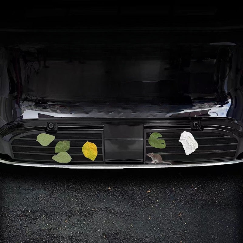 Grille Proof Net for Nevo Q07