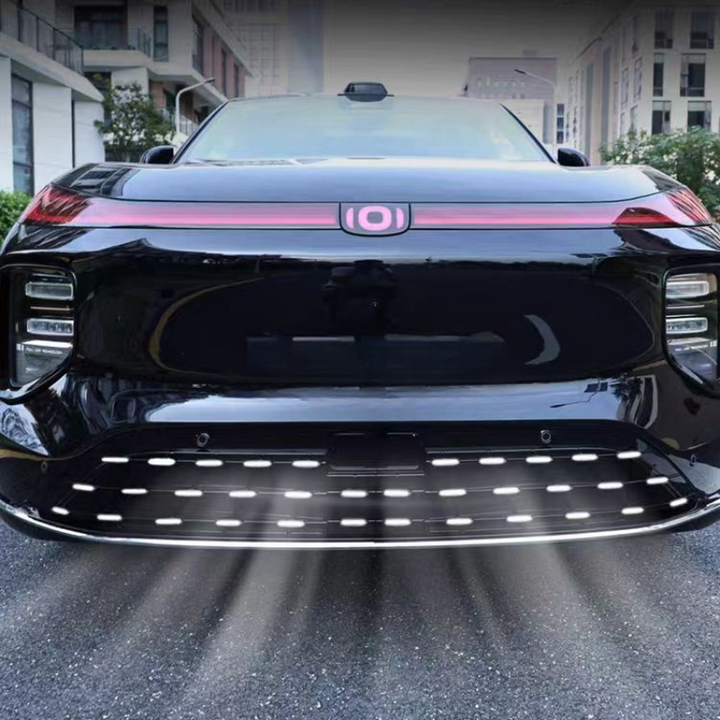 Grille Proof Net for Nevo Q07