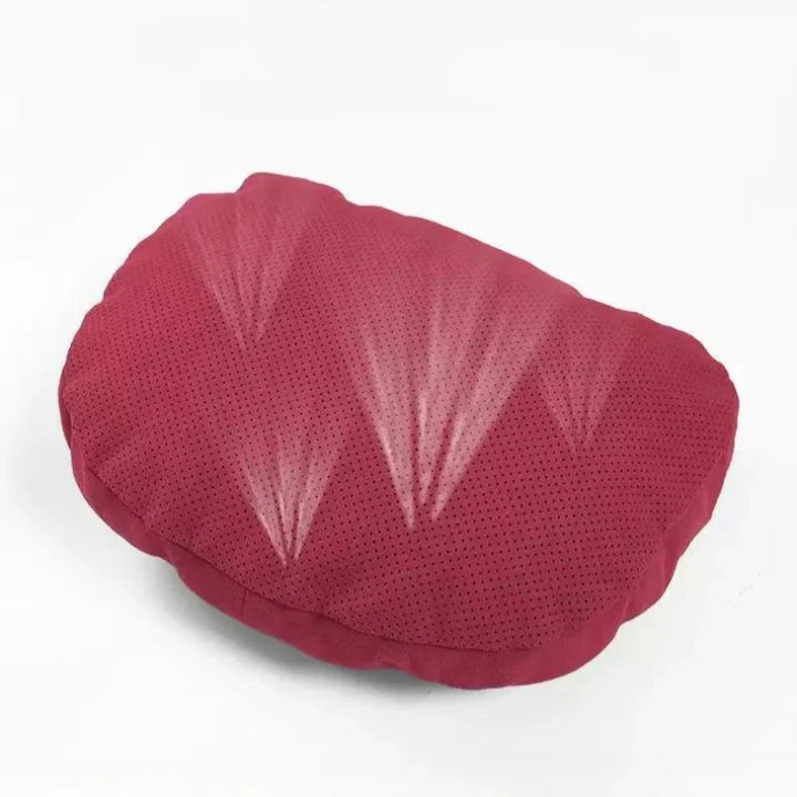 Neck And Lumbar Pillows for Avatr
