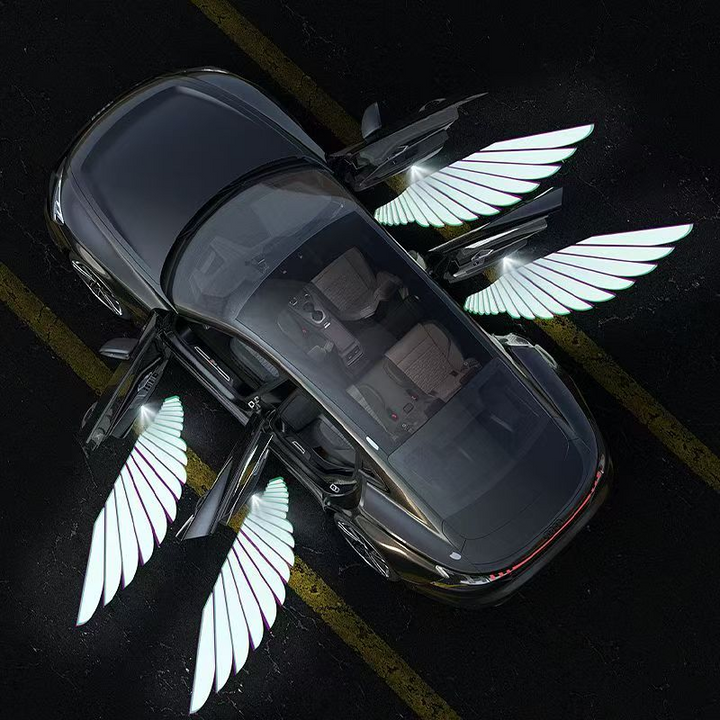 “Angel Wings” Door Welcome Lights