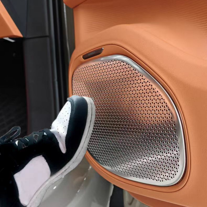 Car audio cover for AION V
