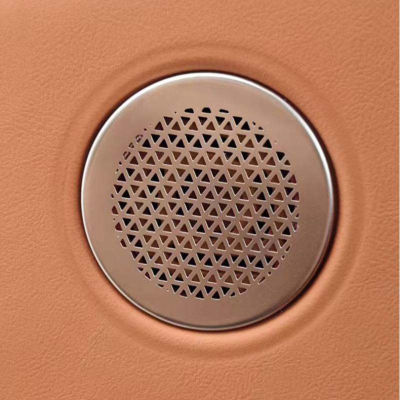Car audio cover for AION V