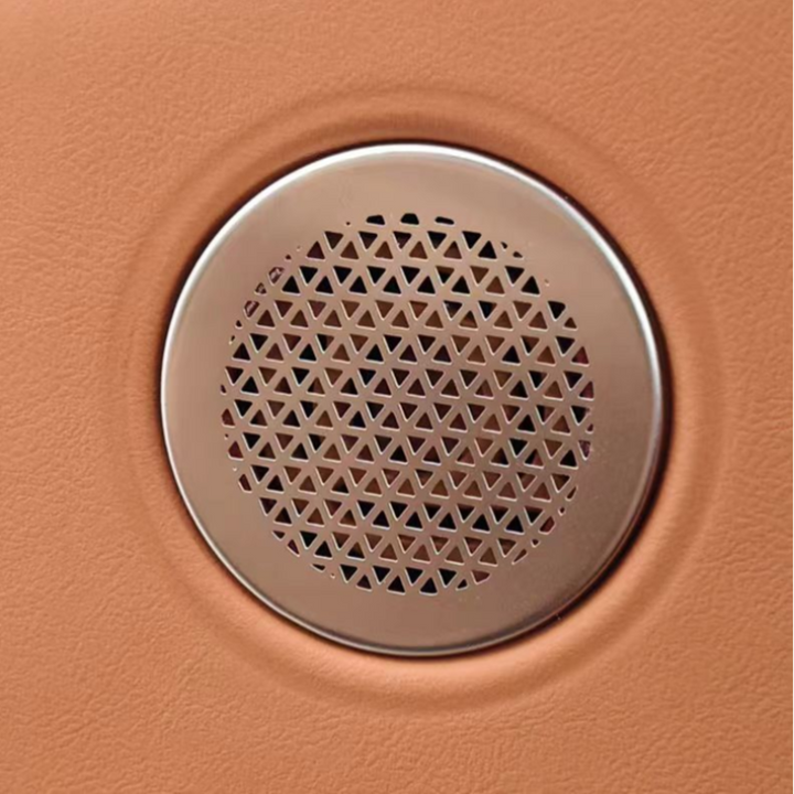 Car audio cover for AION V