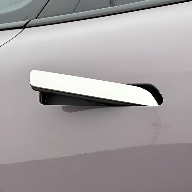 Door handle trim for AION V