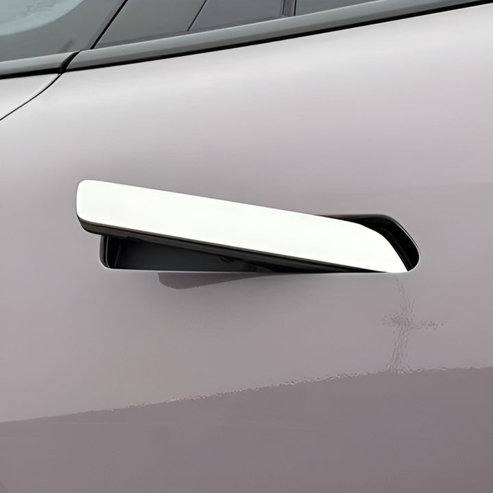 Door handle trim for AION V