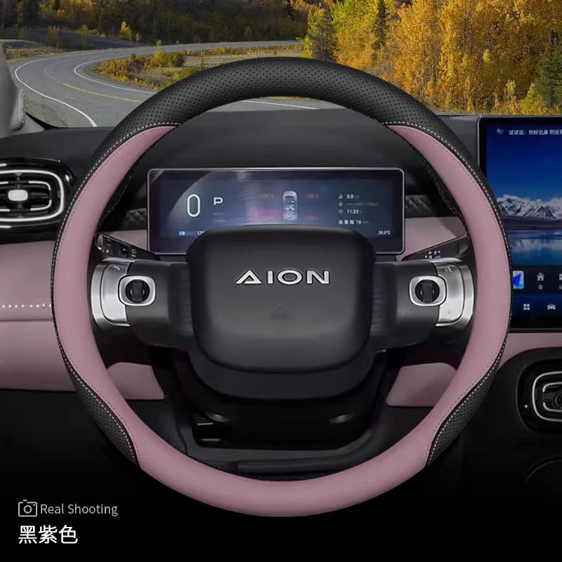 Steering Wheel Cover for AION UT