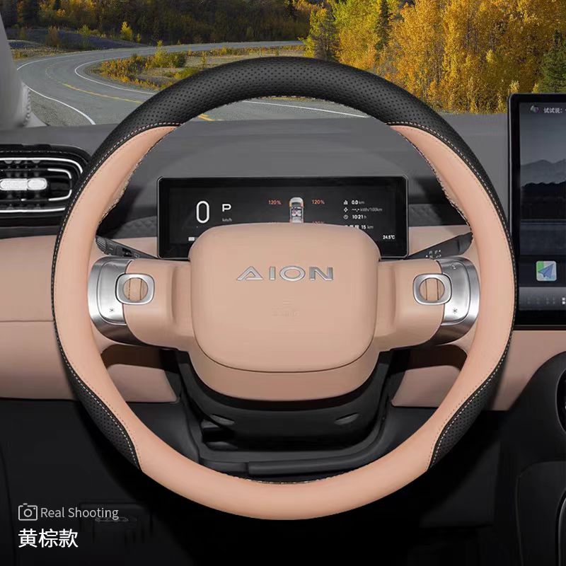 Steering Wheel Cover for AION UT