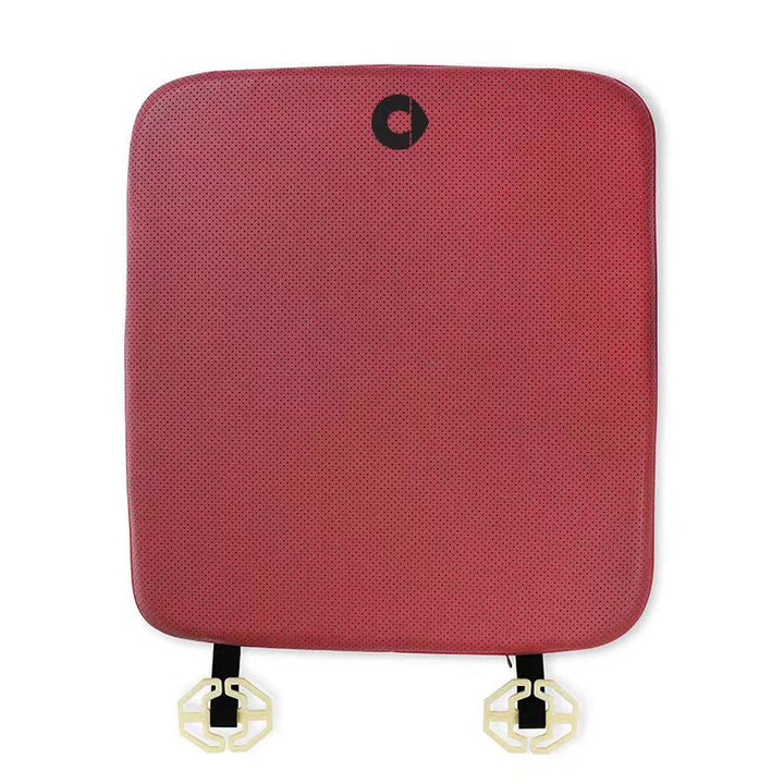 Napa Leather Seat Cushion for Smart