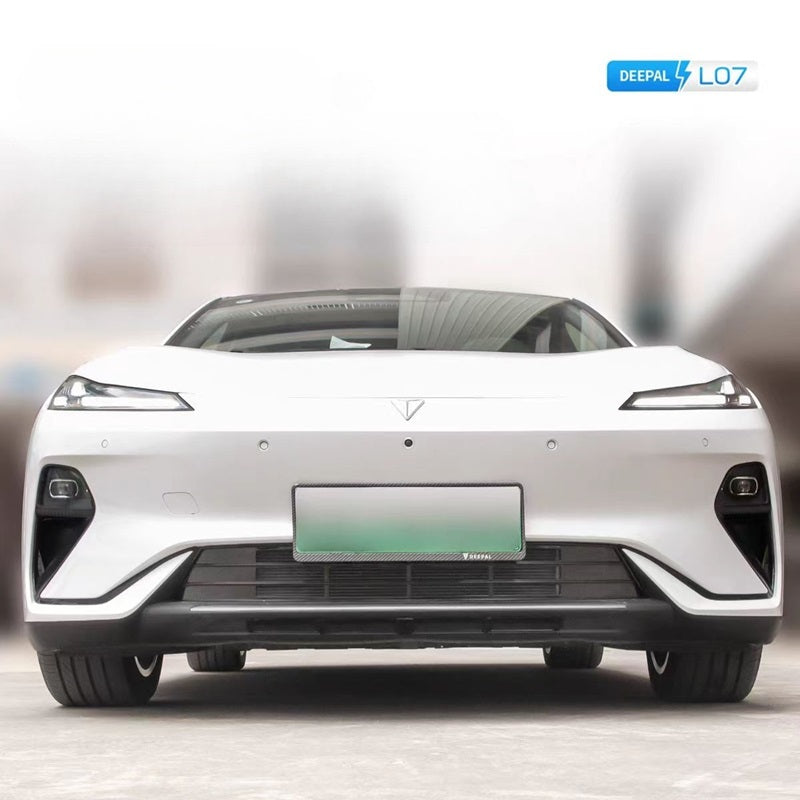 Grille Proof Net for DEEPAL L07 Seal