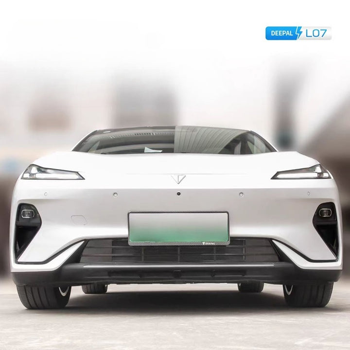 Grille Proof Net for DEEPAL L07 Seal