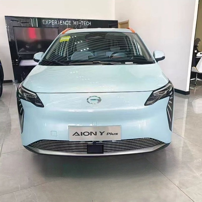 Grille Proof Net for AION Y Plus