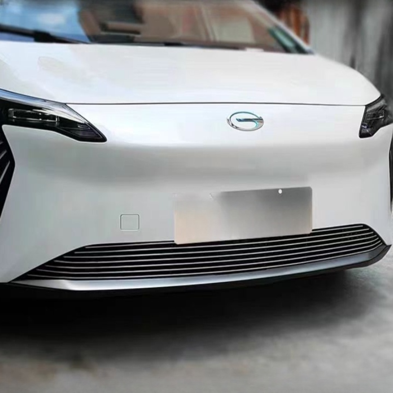 Grille Proof Net for AION Y Plus