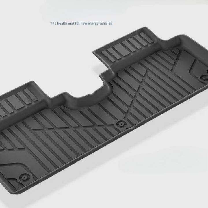 car mats for AION UT