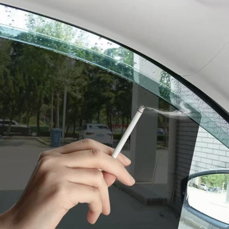 Window Rain Curtains for Deepal S09