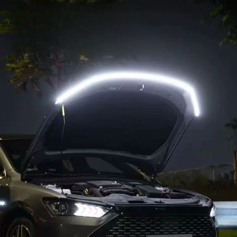 Bonnet-mounted lights for S09