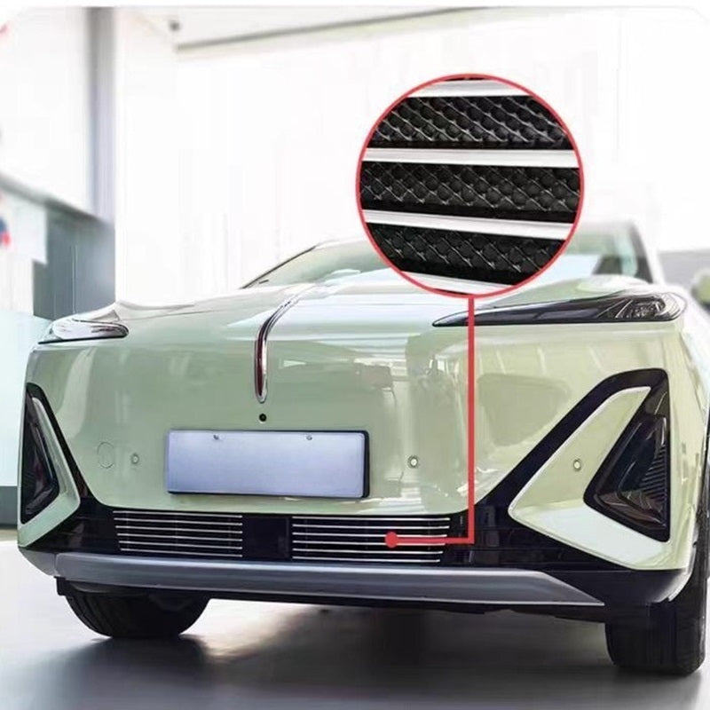 Grille Proof Net for Hongqi EHS5