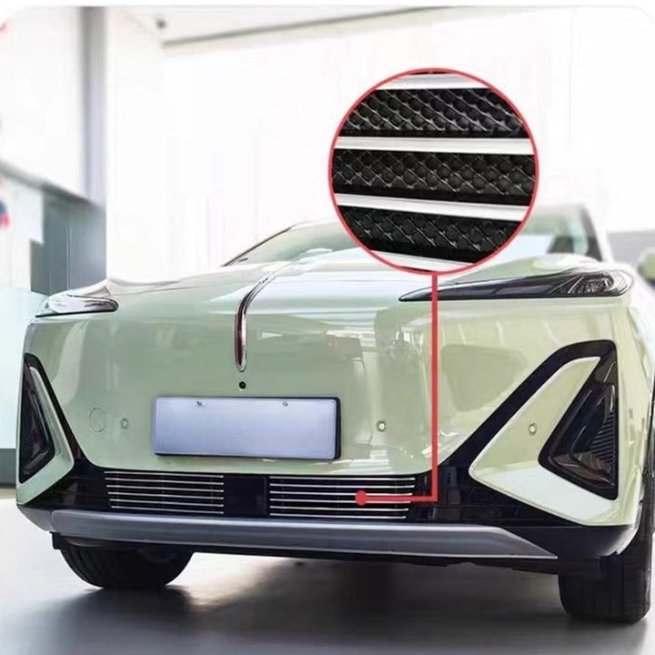Grille Proof Net for Hongqi EHS5
