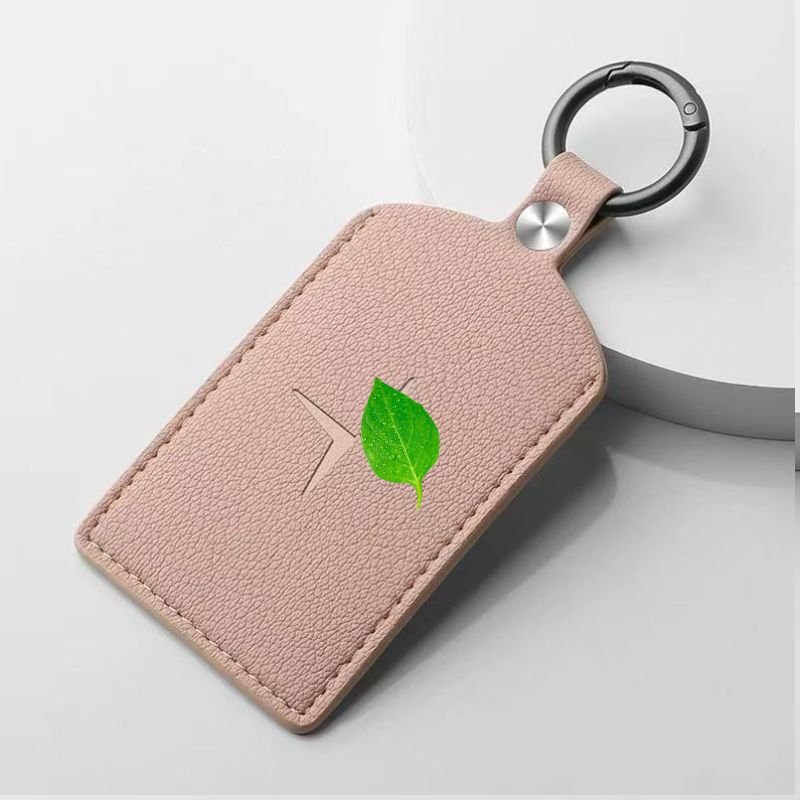 Card Key Holder for Polestar