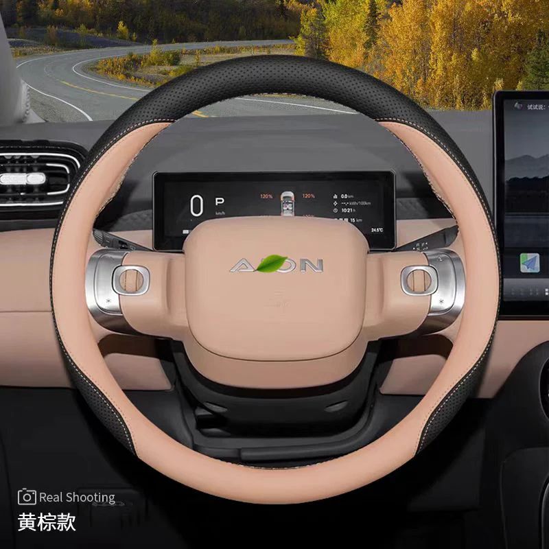 Steering Wheel Cover for AION UT