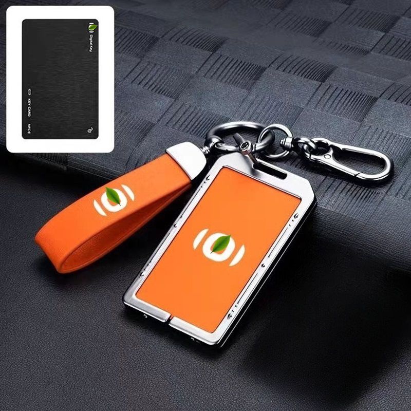 Smart Key Holder for Nevo