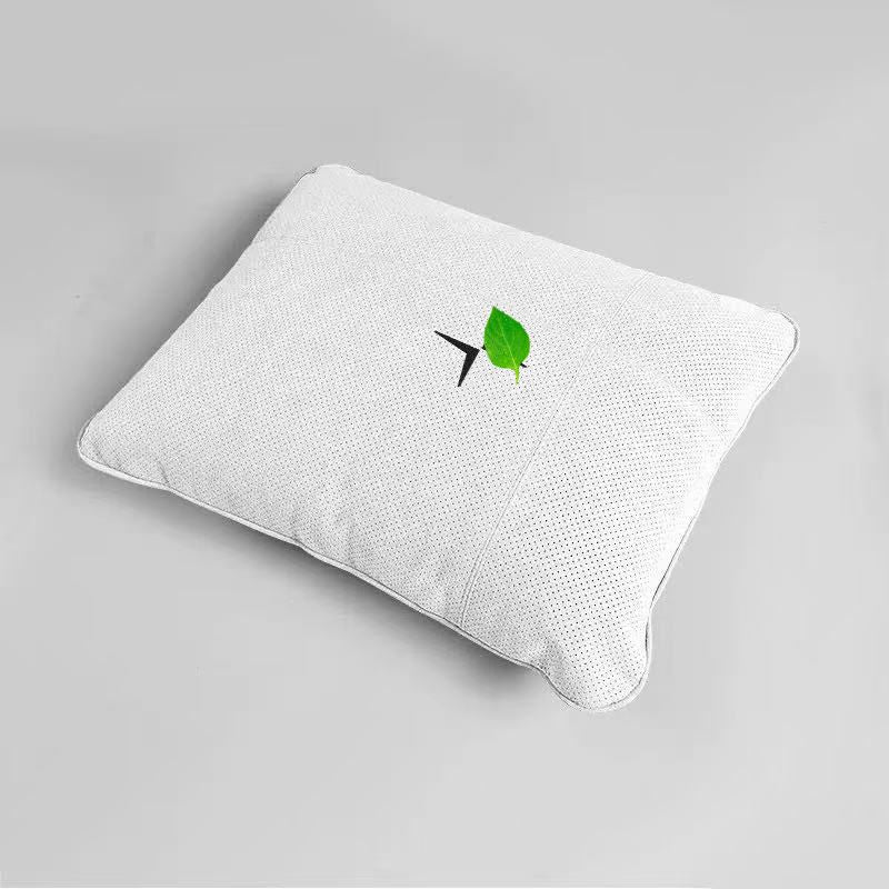 Neck And Lumbar Pillows for Polestar