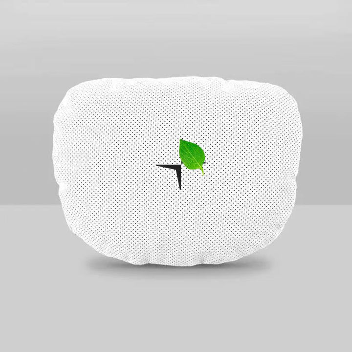 Neck And Lumbar Pillows for Polestar